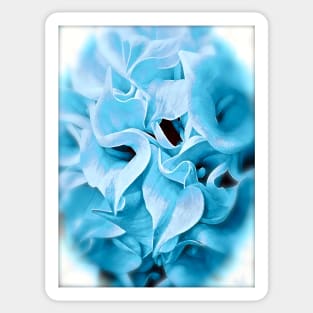 Calla Lily Icy Blue Sticker